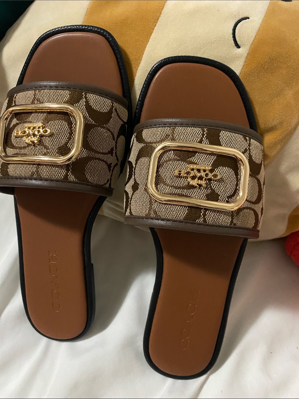 Coach Brown Signature Canvas Slide Sandals with Gold Buckle